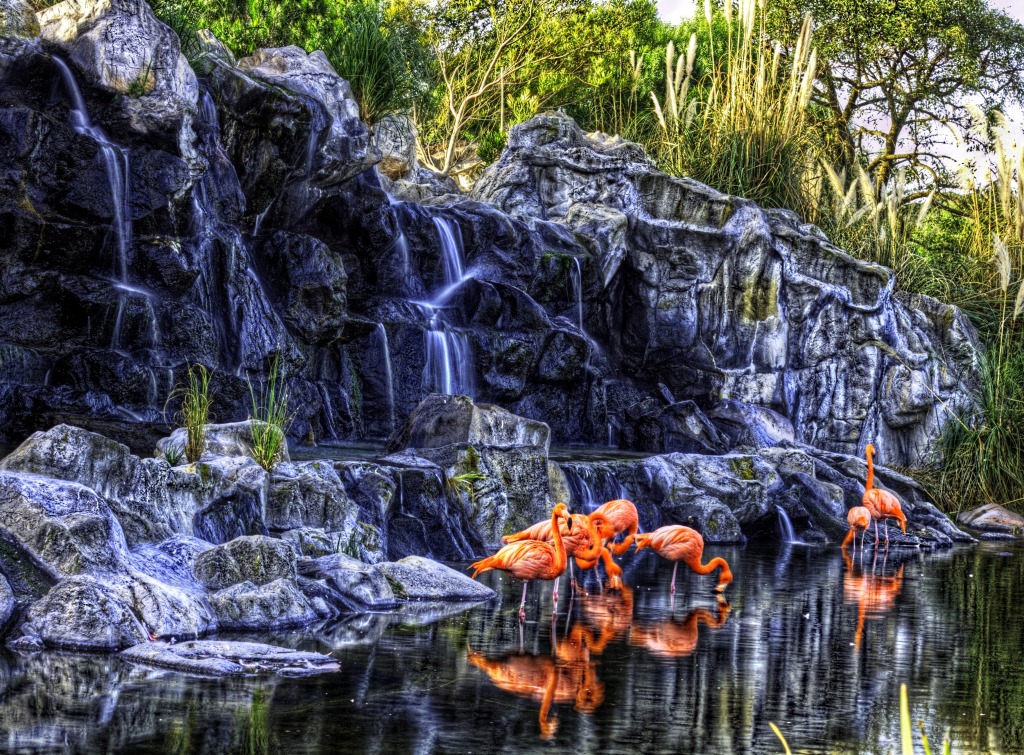 Wasserfall Flamingos jigsaw puzzle in Wasserfälle puzzles on TheJigsawPuzzles.com
