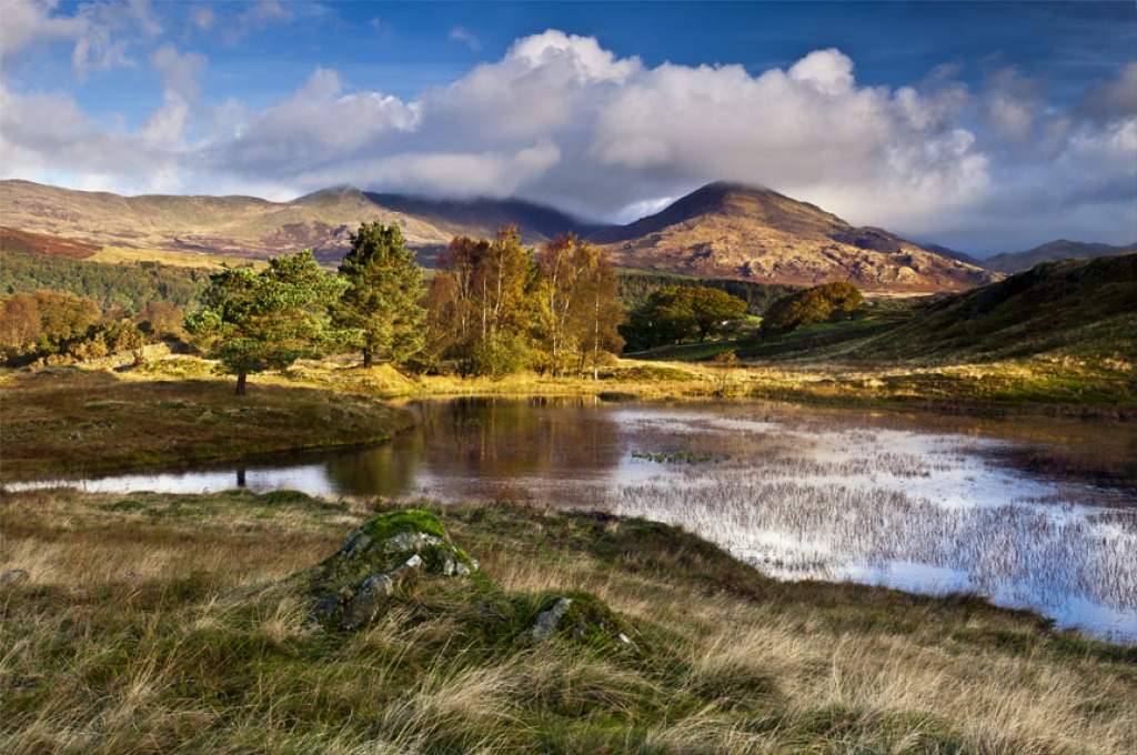 Kelly Hall Tarn jigsaw puzzle in Magnifiques vues puzzles on TheJigsawPuzzles.com