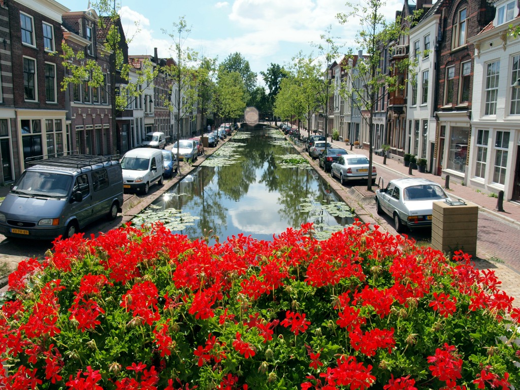 Gouda,the Netherlands jigsaw puzzle in Flowers puzzles on TheJigsawPuzzles.com