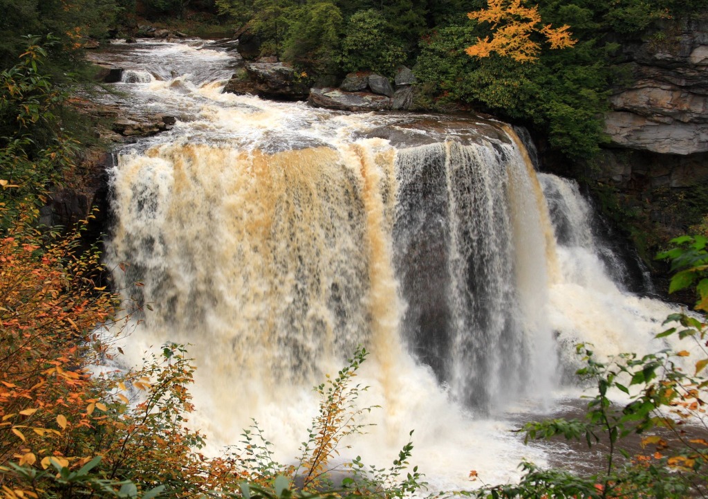 Blackwater Falls, Virginie-Occidentale jigsaw puzzle in Chutes d'eau puzzles on TheJigsawPuzzles.com