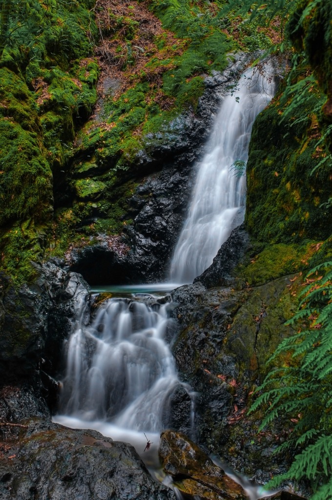 Uvas Canyon County Park jigsaw puzzle in Waterfalls puzzles on TheJigsawPuzzles.com