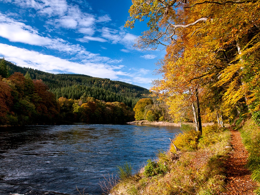 Der Fluss Tay, Schottland jigsaw puzzle in Großartige Landschaften puzzles on TheJigsawPuzzles.com