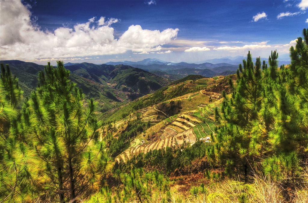 Mt. Pulag, Philippines jigsaw puzzle in Great Sightings puzzles on TheJigsawPuzzles.com