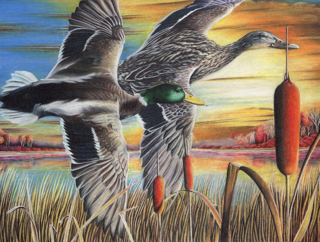 Duck Stamp Art Contest jigsaw puzzle in Пазл дня puzzles on TheJigsawPuzzles.com