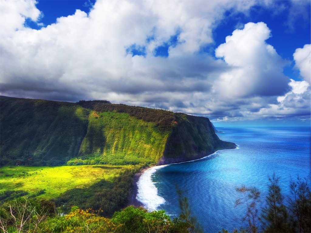 Waipio Valley, Hawaii jigsaw puzzle in Magnifiques vues puzzles on TheJigsawPuzzles.com