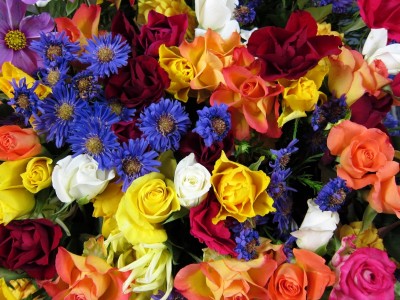 Flowers jigsaw puzzle in Puzzle of the Day puzzles on TheJigsawPuzzles ...