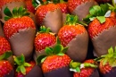 Chocolate-Coated Strawberries