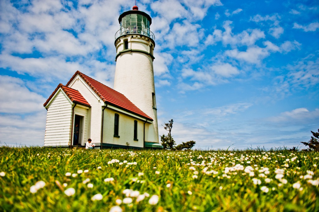 Oregon Lighthouse jigsaw puzzle in Puzzle of the Day puzzles on TheJigsawPuzzles.com