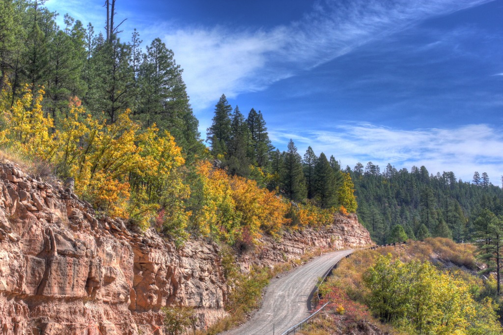 Coconino National Forest jigsaw puzzle in Puzzle of the Day puzzles on TheJigsawPuzzles.com