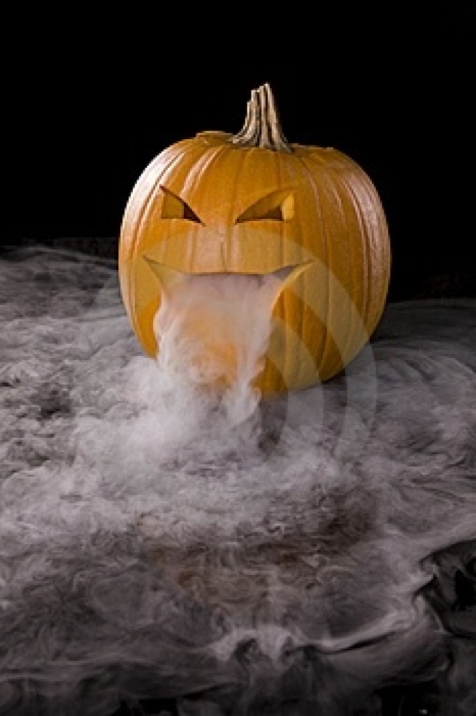 Foggy Pumpking jigsaw puzzle in shawna rowland puzzles on TheJigsawPuzzles.com