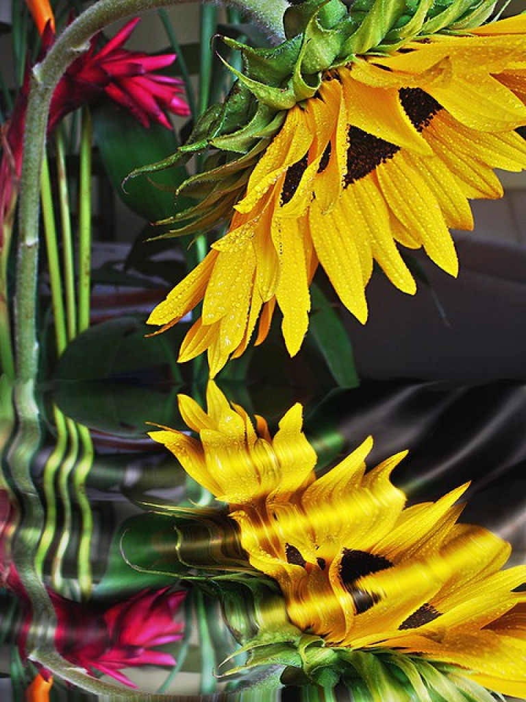 Sunflower Reflection jigsaw puzzle in shawna rowland puzzles on TheJigsawPuzzles.com