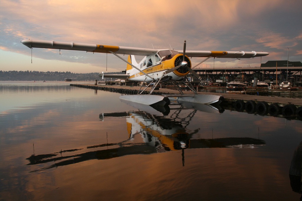 Kenmore Air Harbor jigsaw puzzle in Luftfahrt puzzles on TheJigsawPuzzles.com