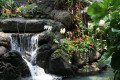 Polynesian Resort Waterfall