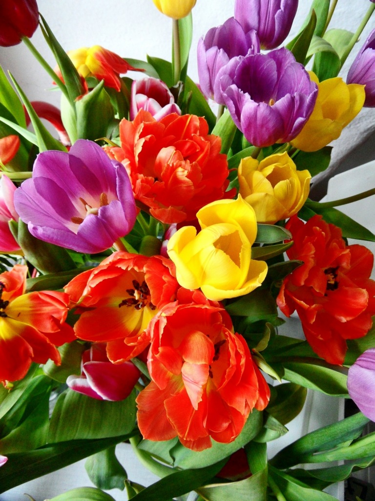 Tulips jigsaw puzzle in Puzzle of the Day puzzles on TheJigsawPuzzles.com