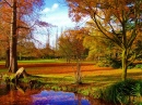 Bushy Park, England