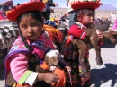 Peruvian Kids with Lambs
