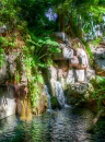 Waterfall in Animal Kingdom