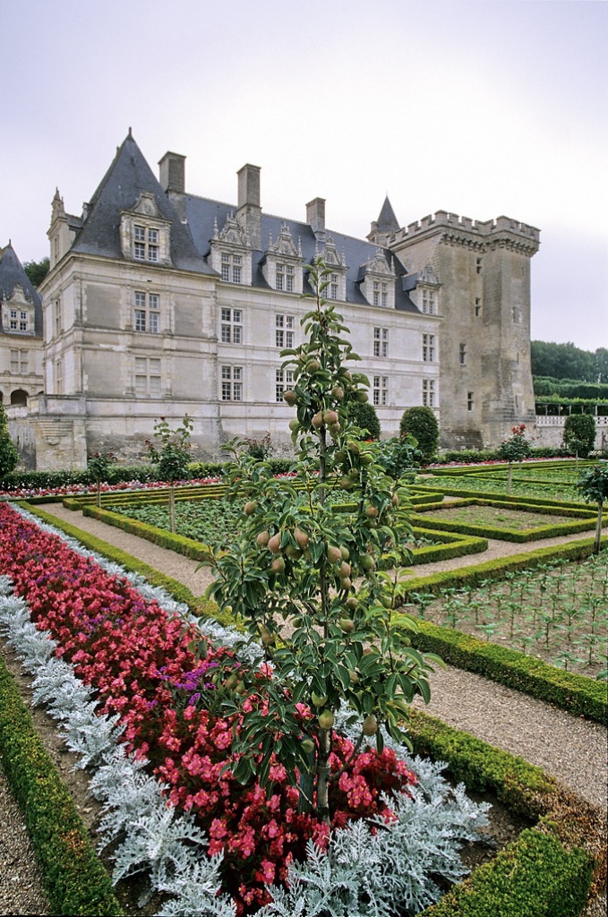 Château de Villandry, France jigsaw puzzle in Castles puzzles on TheJigsawPuzzles.com