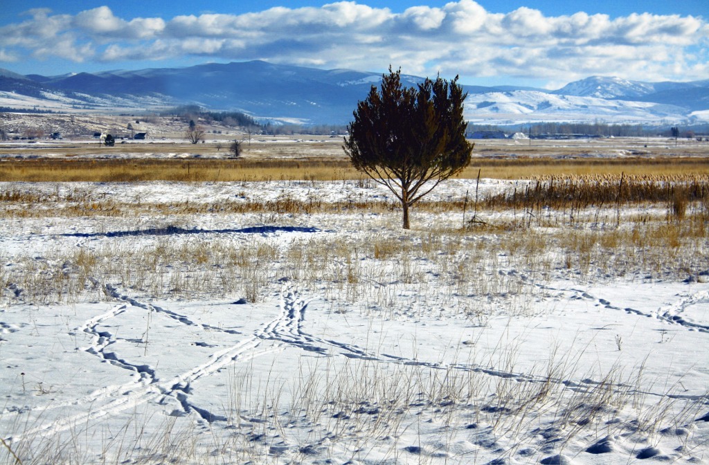 Winter in Montana jigsaw puzzle in Great Sightings puzzles on TheJigsawPuzzles.com