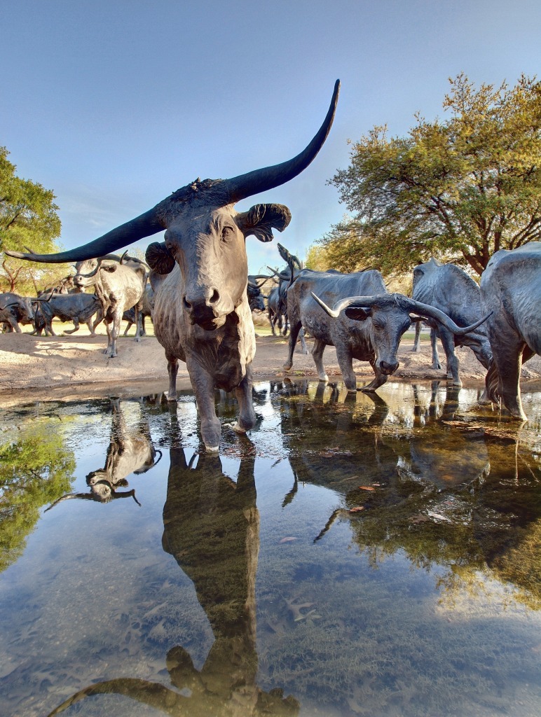 Texas-Longhorn-Rinder jigsaw puzzle in Tiere puzzles on TheJigsawPuzzles.com