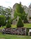 Books and Castle