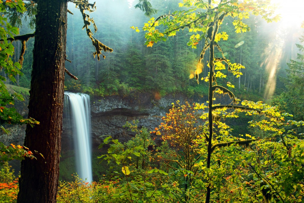 Silver Falls State Park jigsaw puzzle in Waterfalls puzzles on TheJigsawPuzzles.com