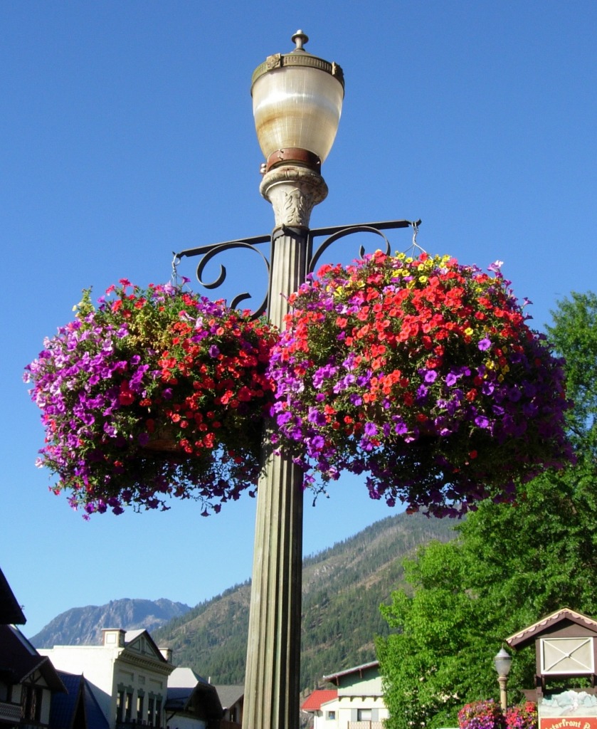 Leavenworth, The Bavarian Village jigsaw puzzle in Flowers puzzles on TheJigsawPuzzles.com