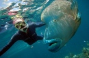 Me with Humphead Wrasse