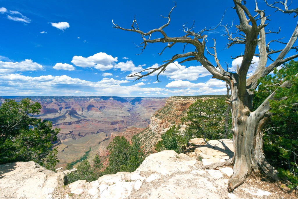 Grand Canyon jigsaw puzzle in Magnifiques vues puzzles on TheJigsawPuzzles.com