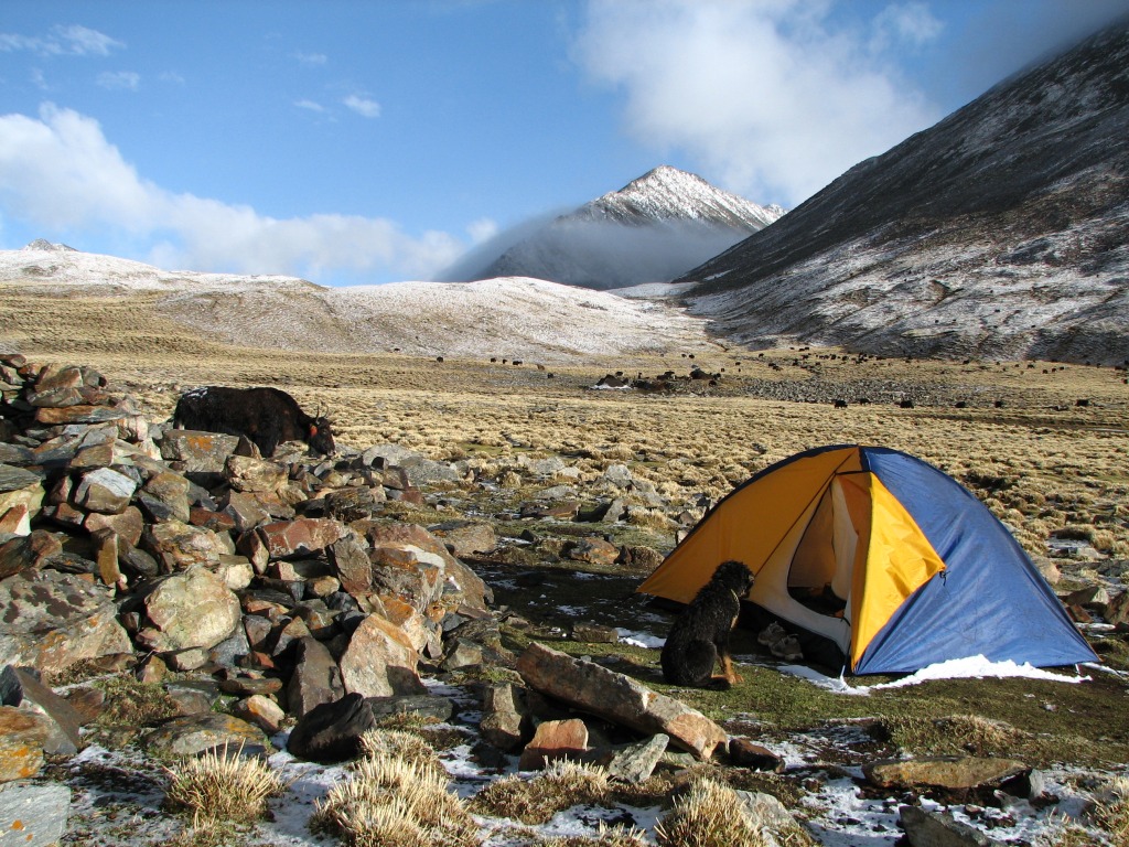 Camping in Tibet jigsaw puzzle in Großartige Landschaften puzzles on TheJigsawPuzzles.com