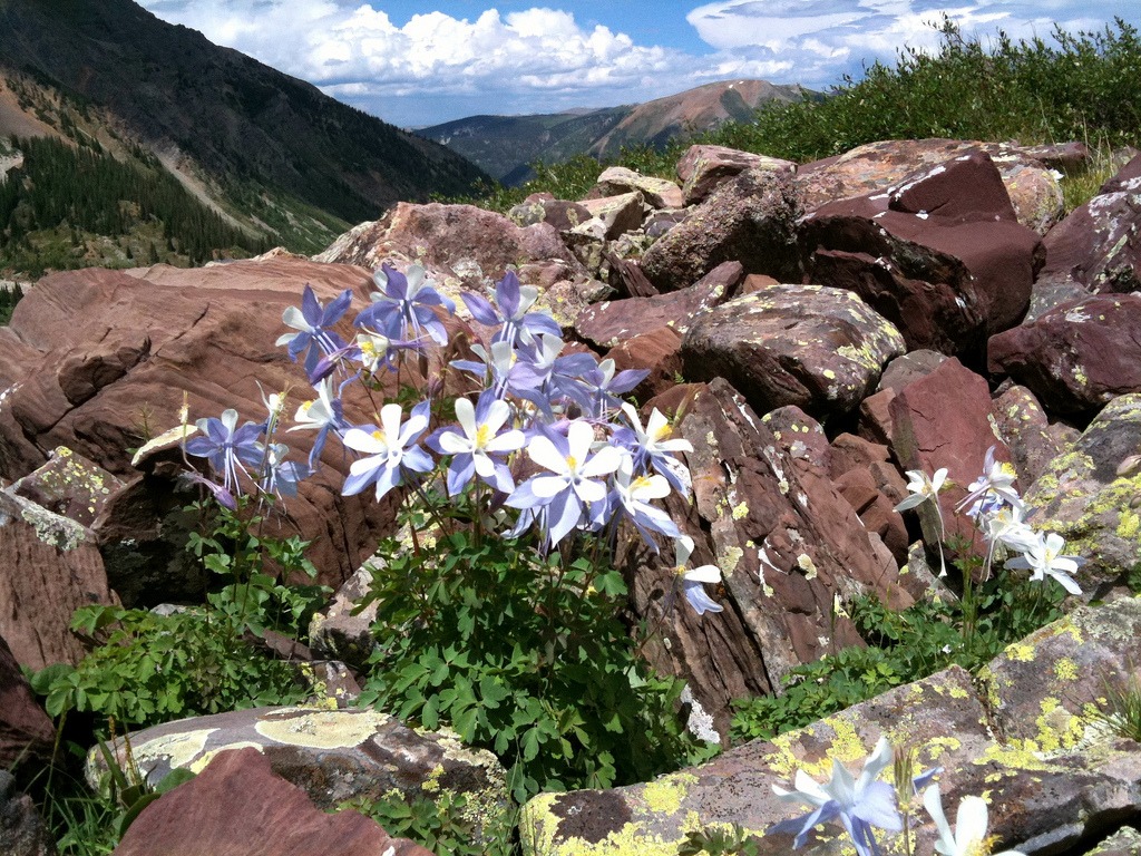 Pearl Pass, Colorado jigsaw puzzle in Fleurs puzzles on TheJigsawPuzzles.com
