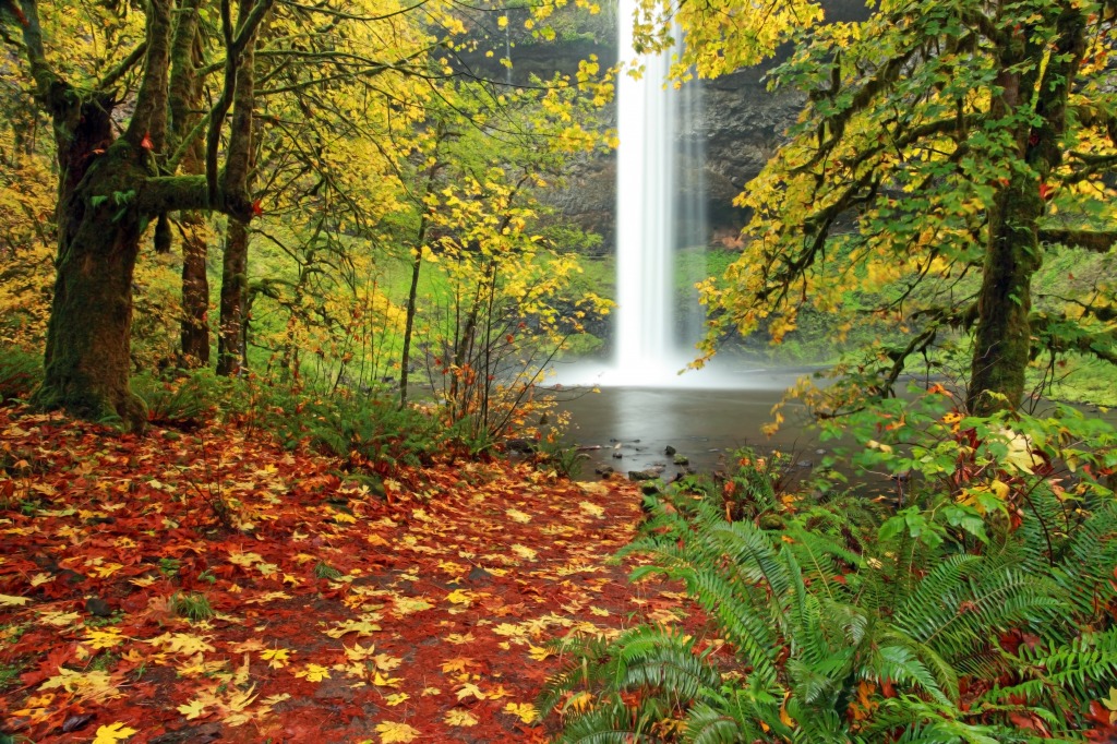 Dream Pool jigsaw puzzle in Waterfalls puzzles on TheJigsawPuzzles.com