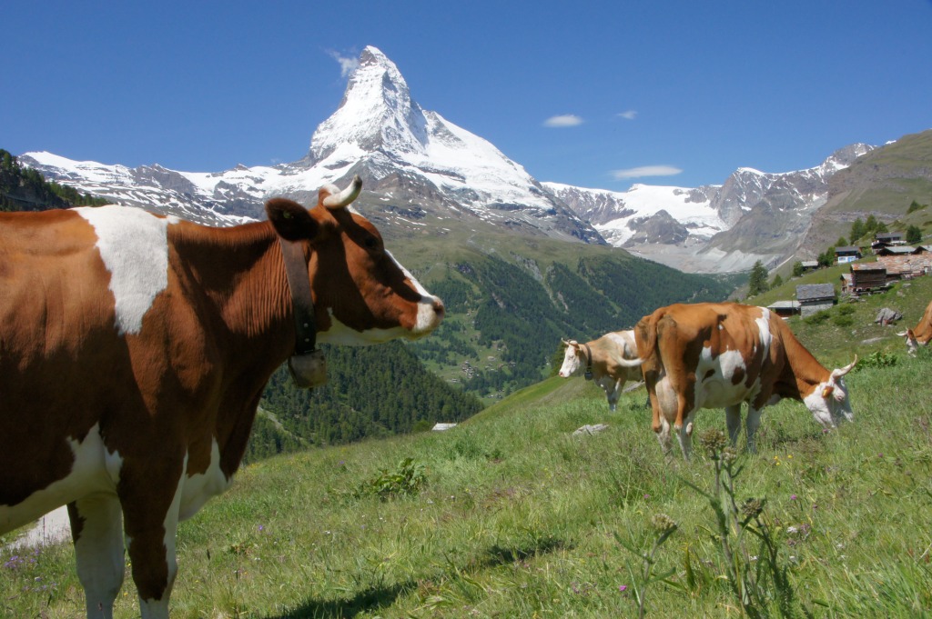 Matterhorns in Switzerland jigsaw puzzle in Puzzle of the Day puzzles on TheJigsawPuzzles.com