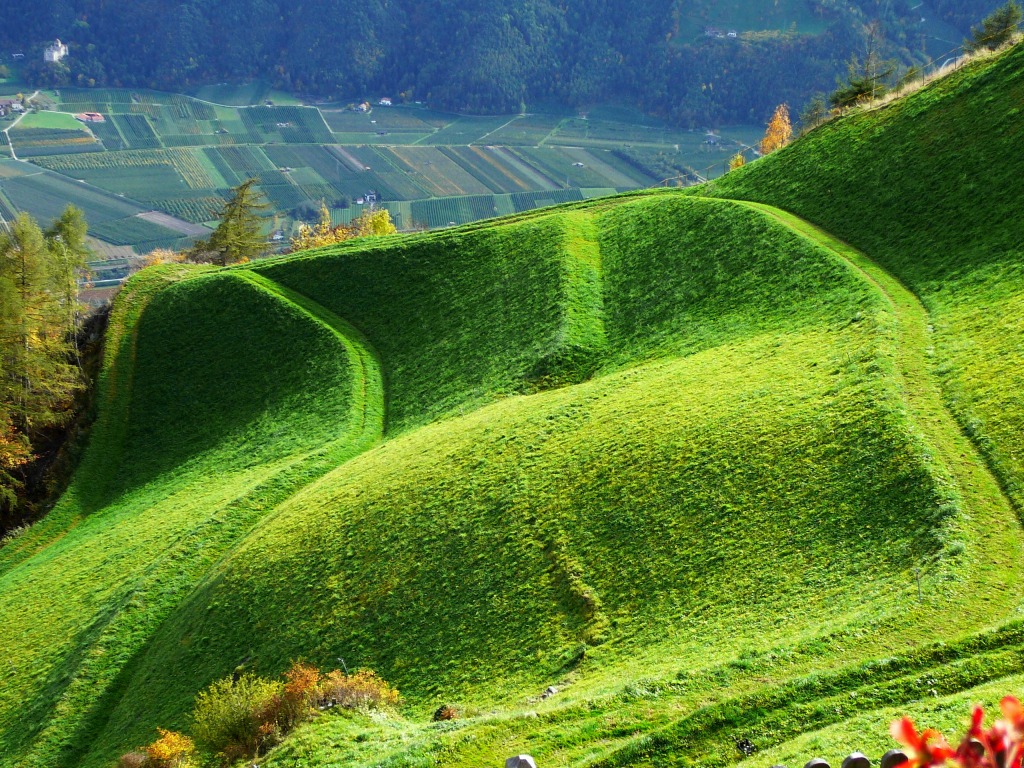 Grass Is Always Greener In South Tyrol jigsaw puzzle in Great Sightings puzzles on TheJigsawPuzzles.com