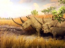 Padded Rhinos