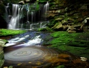 Elakala Waterfalls Swirling Pool