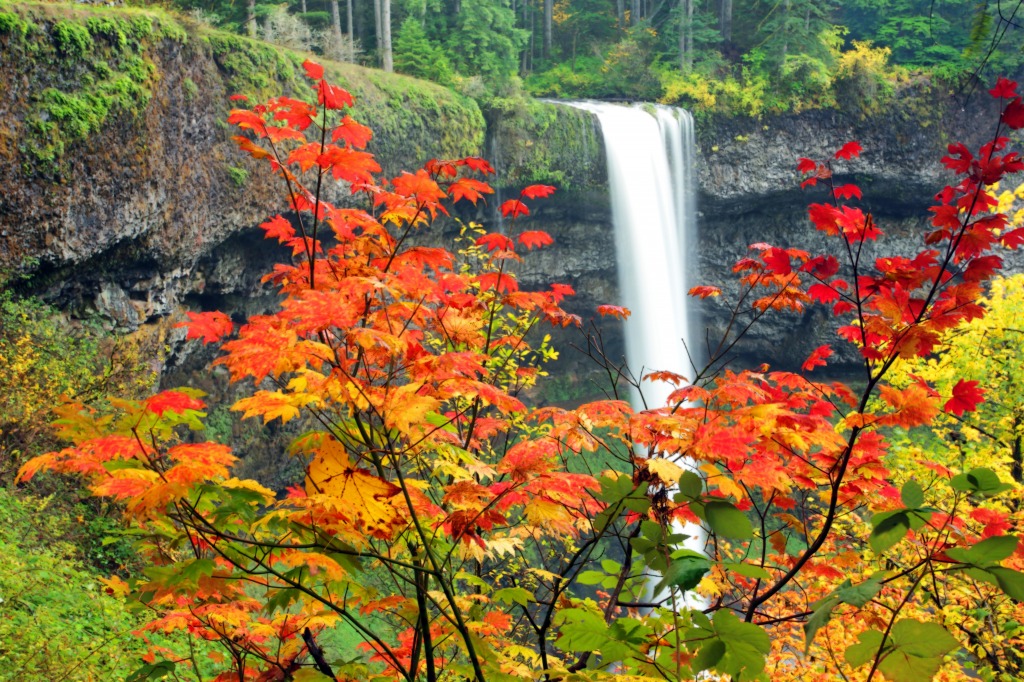 Seasons Change jigsaw puzzle in Waterfalls puzzles on TheJigsawPuzzles.com