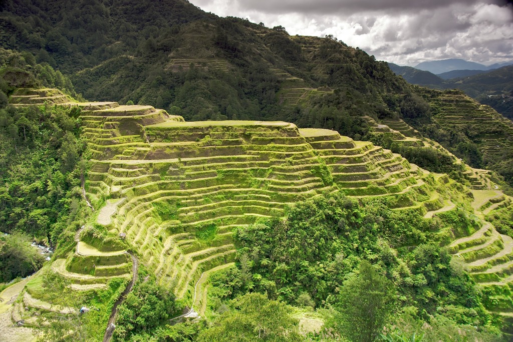 Banaue Rice Terraces jigsaw puzzle in Great Sightings puzzles on TheJigsawPuzzles.com