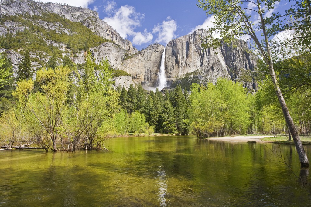 Der Fluss Merced und Yosemite Wasserfälle jigsaw puzzle in Wasserfälle puzzles on TheJigsawPuzzles.com