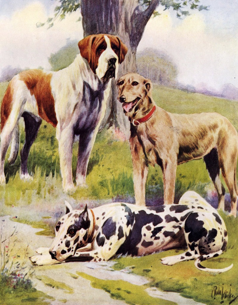 Dogs for the Country Home jigsaw puzzle in Animals puzzles on TheJigsawPuzzles.com