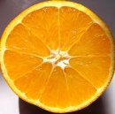 Orange Squircle
