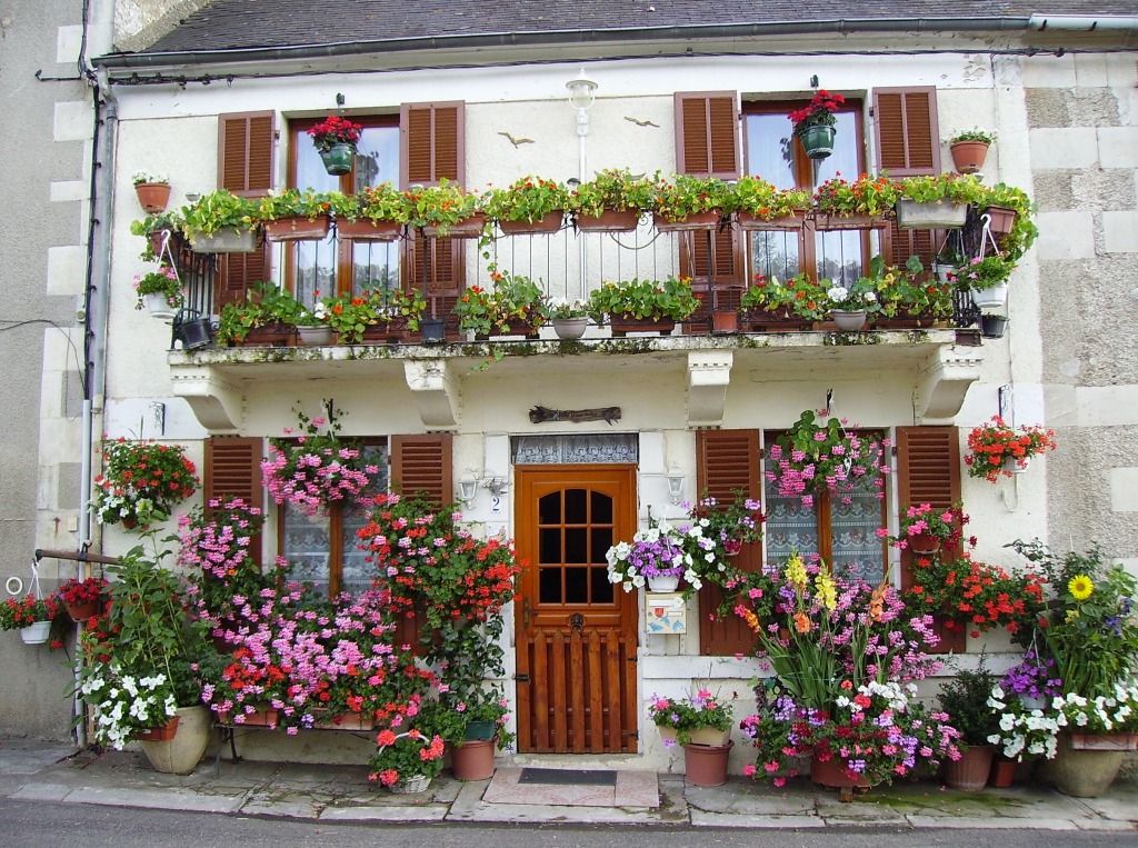 Fassade in Laurent, Burgund, Frankreich jigsaw puzzle in Blumen puzzles on TheJigsawPuzzles.com
