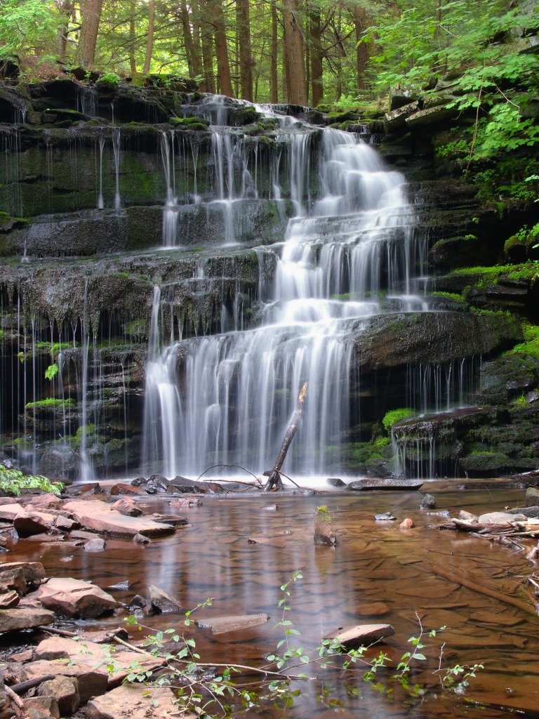 Der Wasserfall Rosecrans Falls, Clinton County, Pennsylvania jigsaw puzzle in Wasserfälle puzzles on TheJigsawPuzzles.com