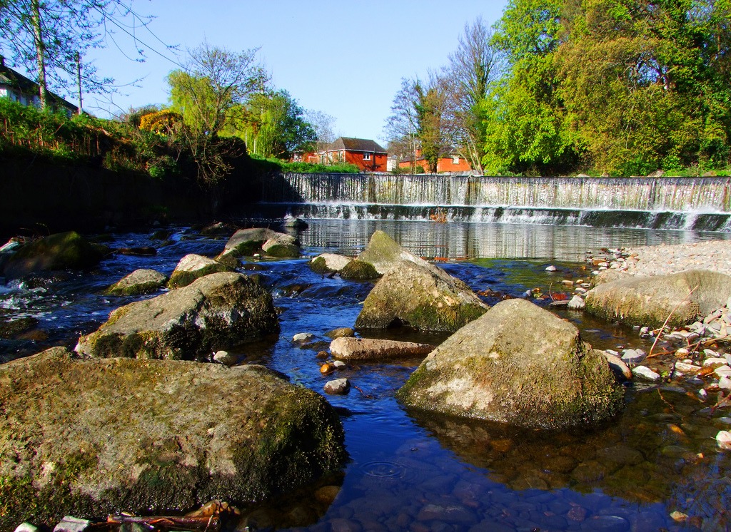 Der Fluss River Dodder Weir, Dublin jigsaw puzzle in Wasserfälle puzzles on TheJigsawPuzzles.com