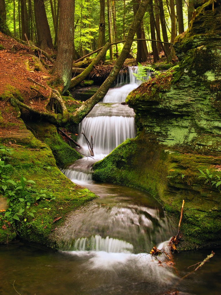 Propelled jigsaw puzzle in Waterfalls puzzles on TheJigsawPuzzles.com