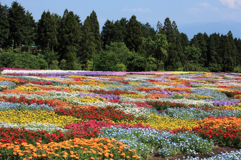 Jardin de fleurs japonaises jigsaw puzzle in Fleurs puzzles on TheJigsawPuzzles.com