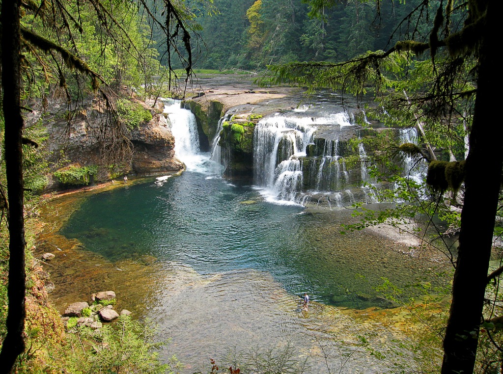 Lower Falls, Lewis River jigsaw puzzle in Waterfalls puzzles on TheJigsawPuzzles.com