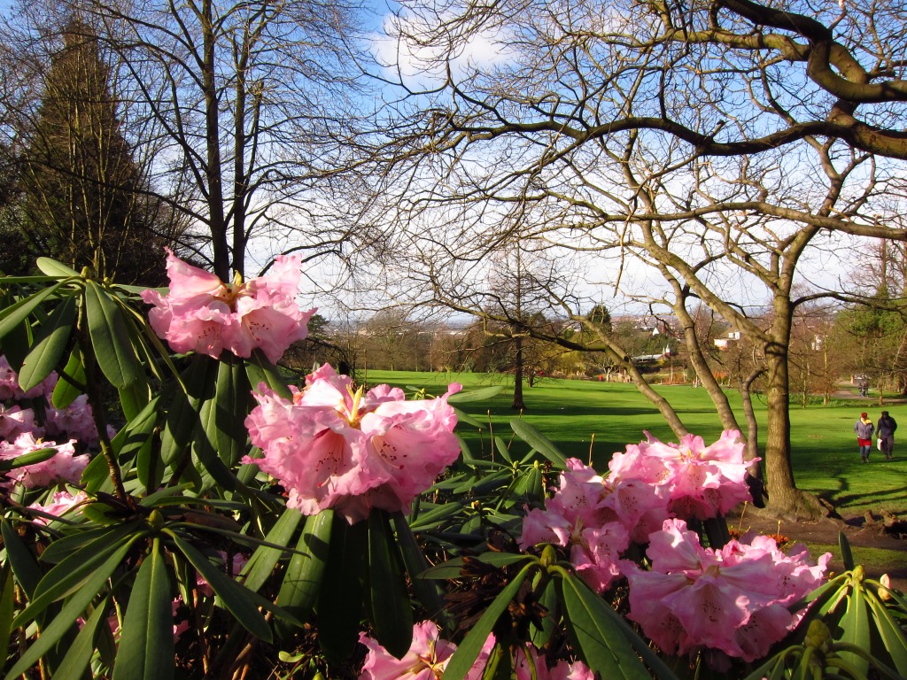 Golders Hill Park, London jigsaw puzzle in Flowers puzzles on TheJigsawPuzzles.com