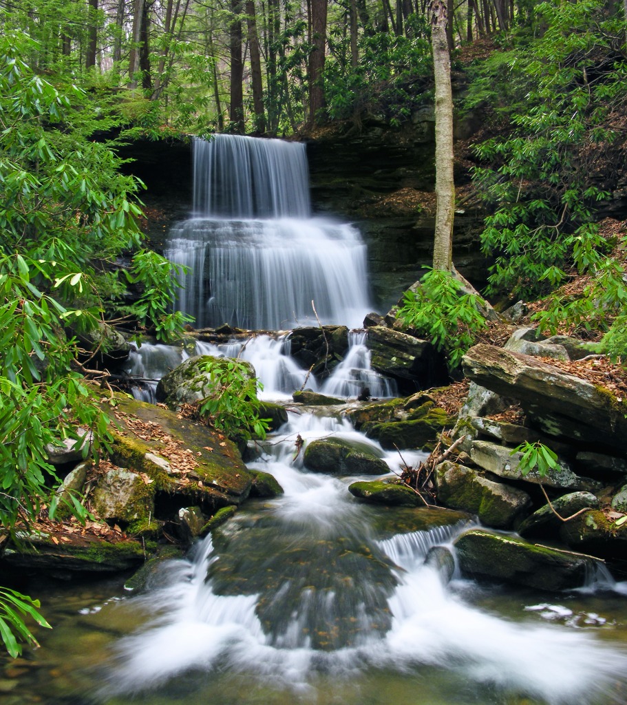 Round Island Run Falls, Clinton County jigsaw puzzle in Waterfalls puzzles on TheJigsawPuzzles.com