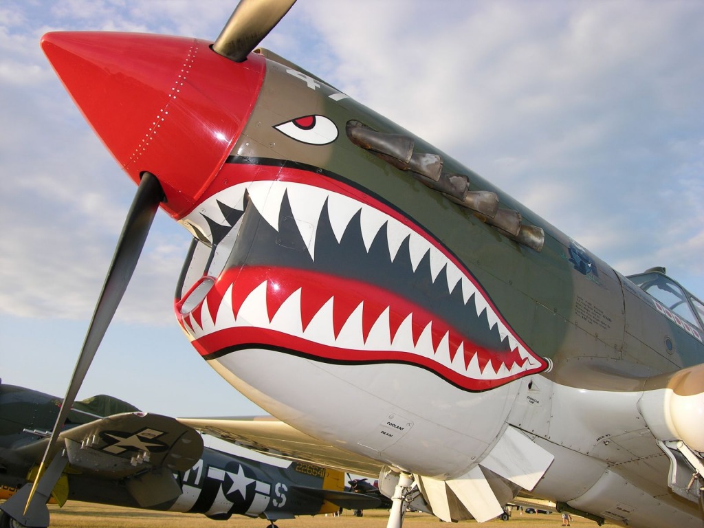 P-40E Warhawk jigsaw puzzle in Aviação puzzles on TheJigsawPuzzles.com